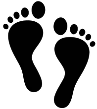 Adam Chalnick, D.P.M logo