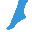 Advanced Foot & Ankle logo