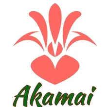 Akamai Foot Doctor (Hawaii Kai Location) logo