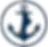 Anchor Foot and Ankle logo