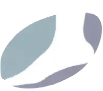 Dr. Christopher Pingitore D.P.M. FACFAS logo