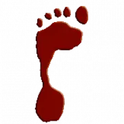 APNA Podiatry - Dr. ASIFA PATHAN logo