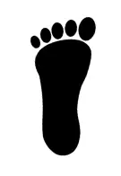 Bay Foot LLC logo