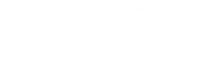 Blue Stone Health and Wellness logo