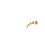 Bunion SF logo