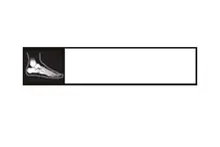 Caneva Foot and Ankle Clinic, LTD logo
