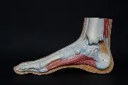 Chatham Podiatry Center logo