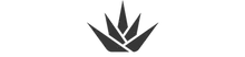Direct Podiatry Arizona logo