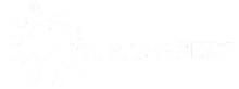 Dr. Dave Williams - El Paso Feet logo
