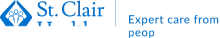 Dr. Stephen Alayli, DPM, FACFAS logo