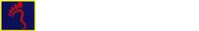 Emil Babayev, DPM logo