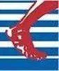 Foot & Ankle Institute logo