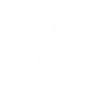 Foot & Ankle Institute of Hawaii logo
