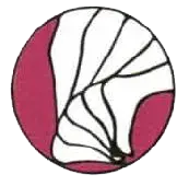 Foot & Ankle Specialists of Connecticut, P.C. logo