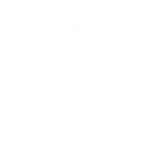 Gadsden Foot Clinic logo
