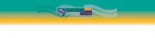 Gulf Coast Medical Center logo