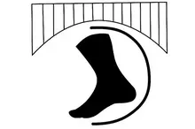 Magic Valley Foot and Ankle logo