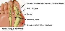 Metro Podiatrists LLC logo