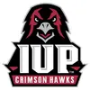 Miller Howard P DPM logo