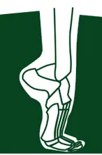 Neil B. Mansdorf, DPM logo