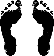 Podiatrist Lorna C. Wolfe D.P.M., P.A. logo