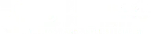 Precision Podiatry logo