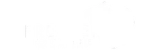 Premier Foot & Ankle Specialists logo