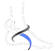 Samson Foot + Ankle, PA: Richard Samson, DPM, FACFAS logo