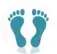 Skokie Foot & Ankle Specialists: Dr. Steven Miller logo