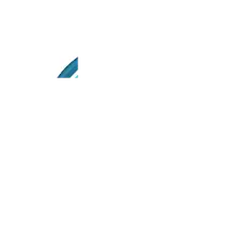 Sole Foot & Ankle Specialists logo