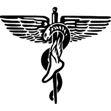 South Baldwin Podiatry: Debra Gibson, DPM logo