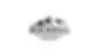 Stephen Rockhill DPM - Rockhill Foot & Ankle Surgery logo