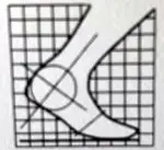 William Herrmann, DPM, FACFAS logo